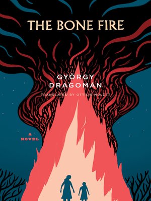 cover image of The Bone Fire